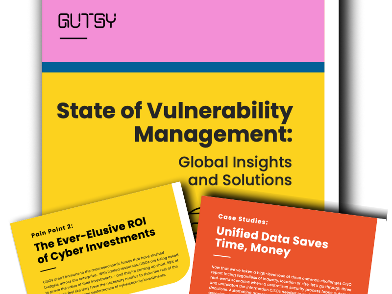 State of Vulnerability Management: Global Insights and Solutions